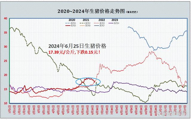 溫馨探秘,肉豬價格行情背后的友情故事