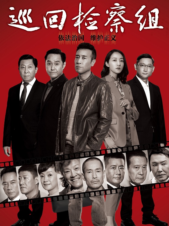 巡回檢察組演員表深度解析,角色與演技探究