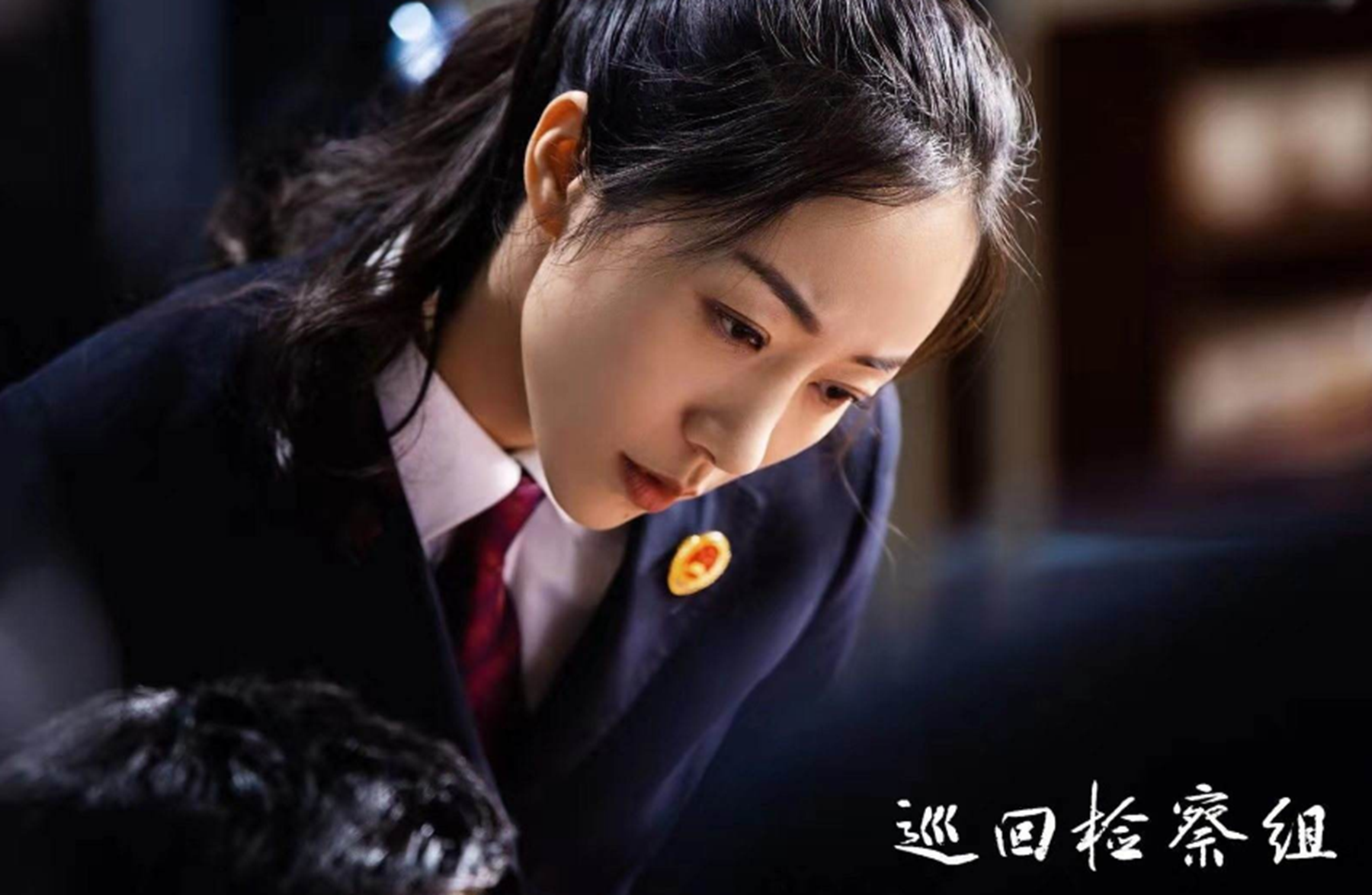 巡回檢察組演員表深度解析,角色與演技探究