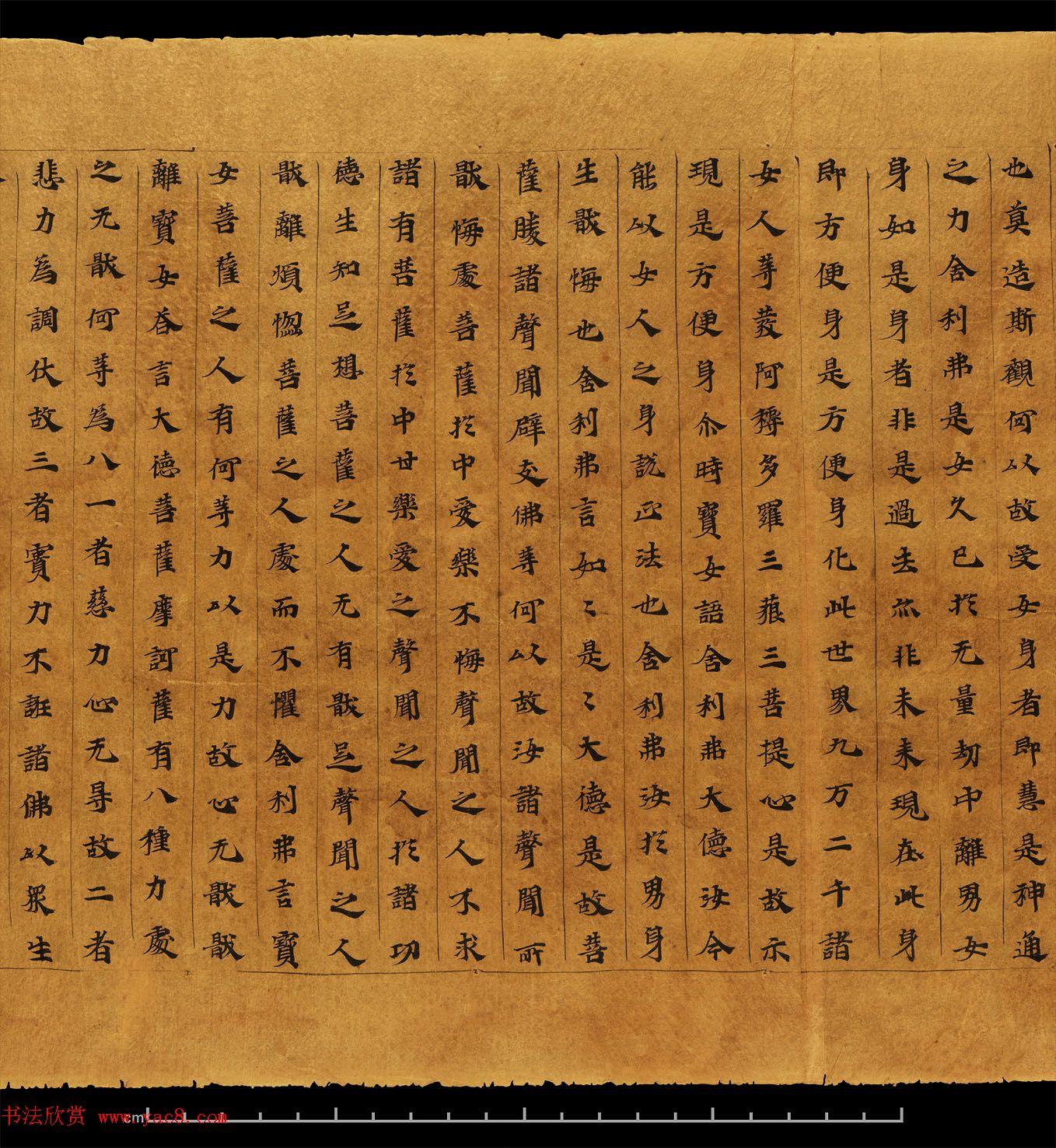 最新佛教經(jīng)典與日常溫馨故事融合集萃