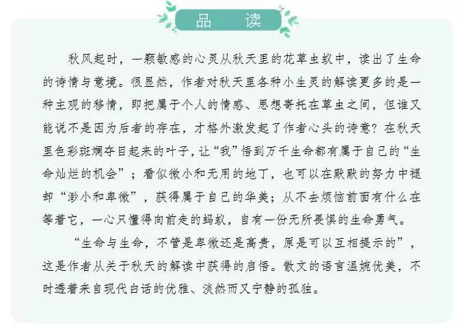 最新短篇辣文精選,鄰里溫情日常的溫馨瞬間
