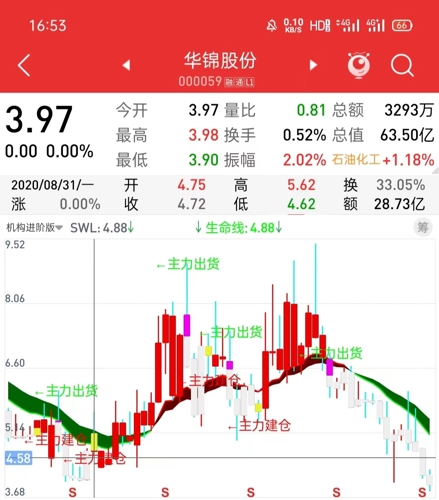 華錦股份最新動態,鑄就輝煌,展望未來發展之路