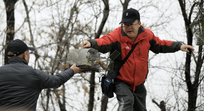 唐多吉的新技能學習指南,掌握新技能的步驟指南