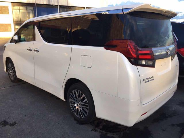 阿爾法保姆車價(jià)格,探索自然美景的絕佳伙伴邀請(qǐng)啟程