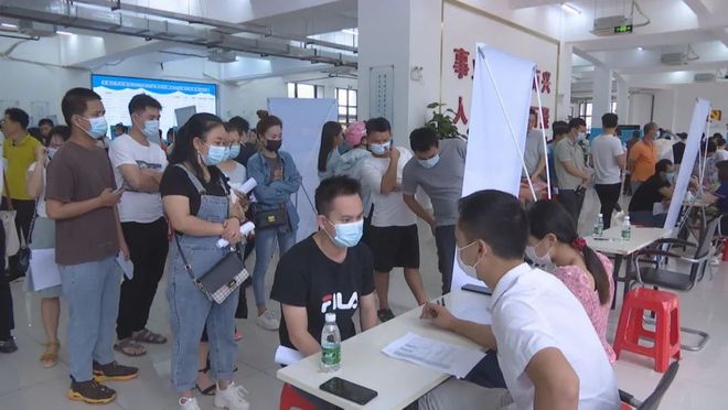 洋浦最新招聘步驟指南及招聘信息匯總