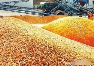 中儲糧豆粕最新價格動態(tài),洞悉市場變化,掌握最新行情!