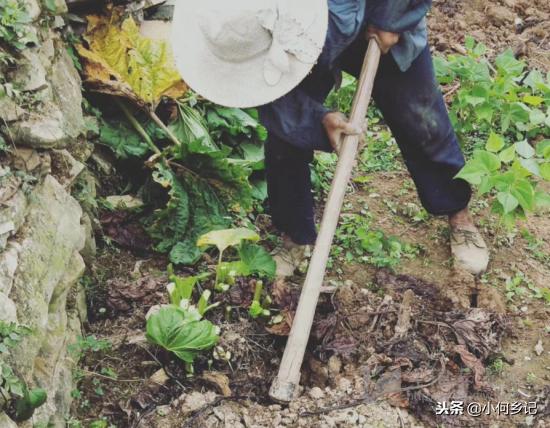 奉節科技新品引領未來生活新潮流,最新消息震撼登場