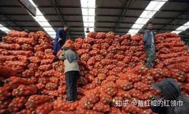 最新農產品滯銷信息深度解析與探討