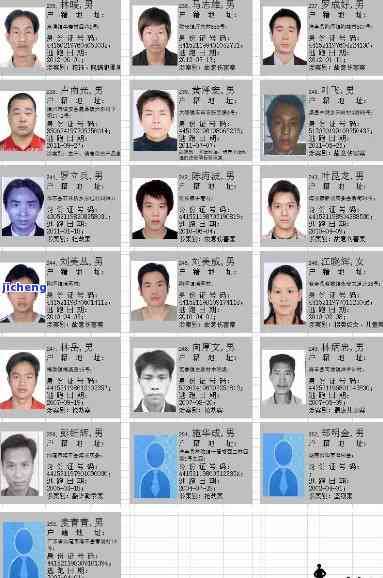 最新網上通緝令查詢,與朋友紐帶共同守護安全