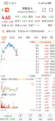 深振業(yè)A最新動(dòng)態(tài)及觀點(diǎn)闡述