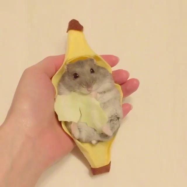 百變女巫最新一周運(yùn)勢(shì),百變女巫最新一周運(yùn)勢(shì)——科技魔法,掌握未來生活之匙