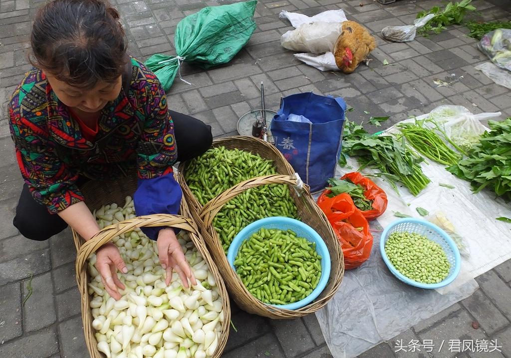 毛豆價格動態變化,學習成就自信與喜悅的旅程