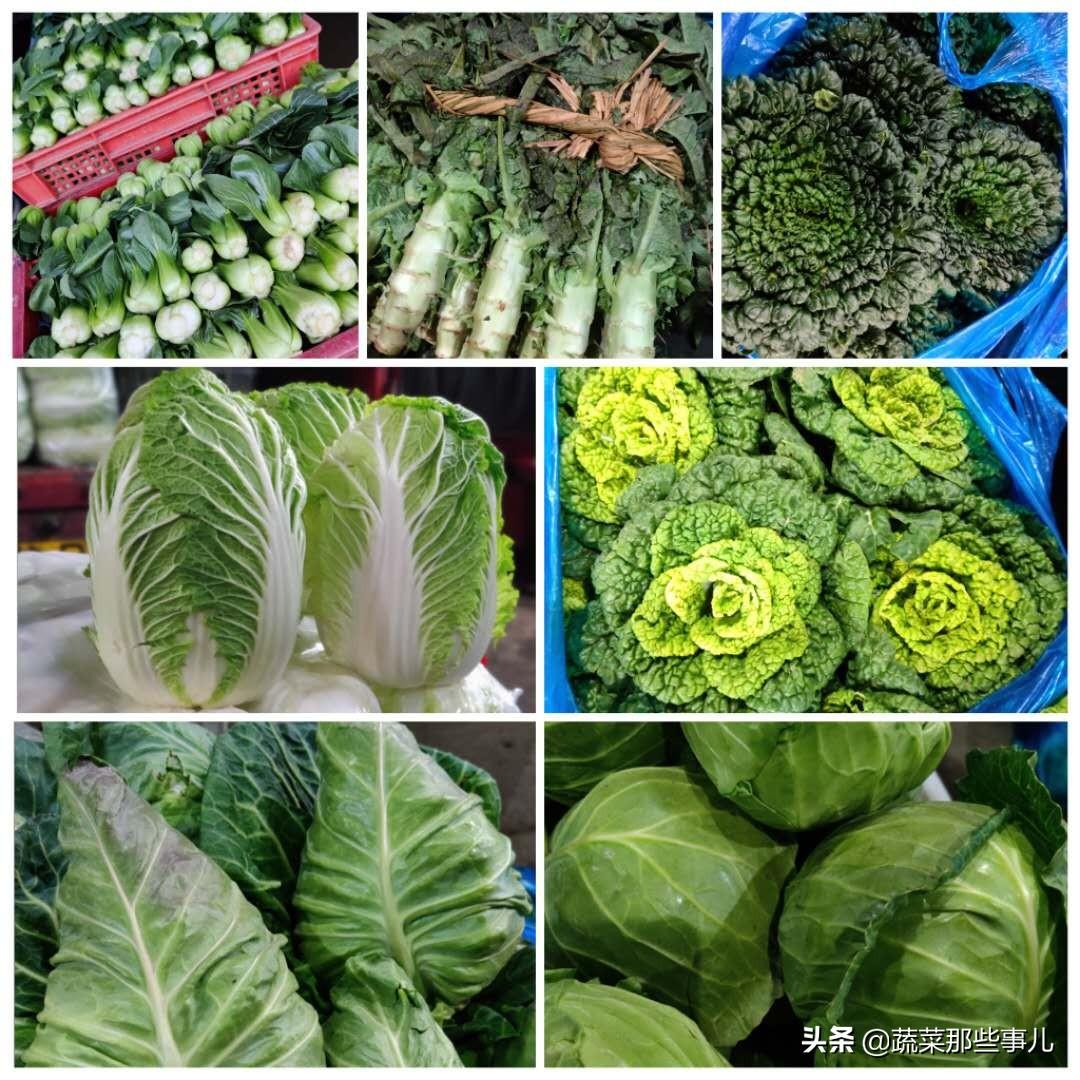 毛豆價格動態變化,學習成就自信與喜悅的旅程