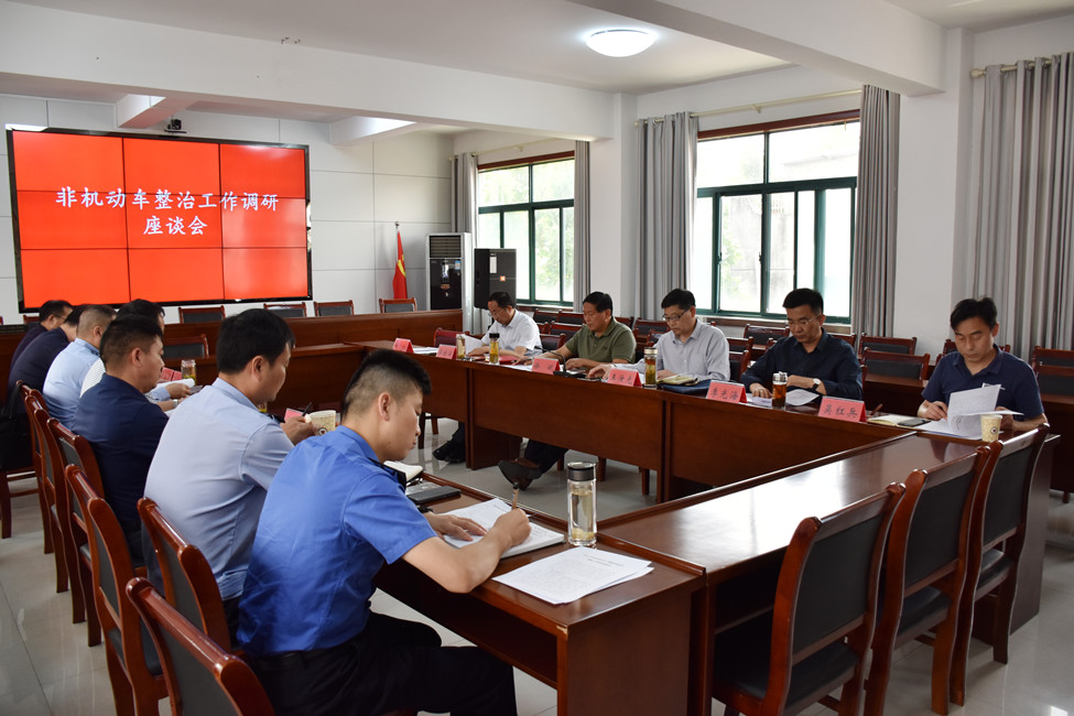 肥東城市角落的溫馨日常,最新新聞報道