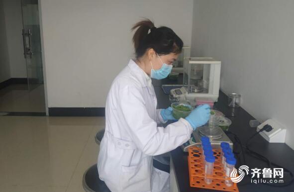 蒼山蒜苔最新價格,踏上自然之旅,探尋內心寧靜與饋贈的旅程