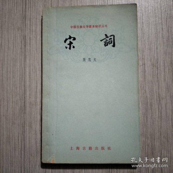 宋閥最新章節(jié)揭秘,小巷中的美食天堂
