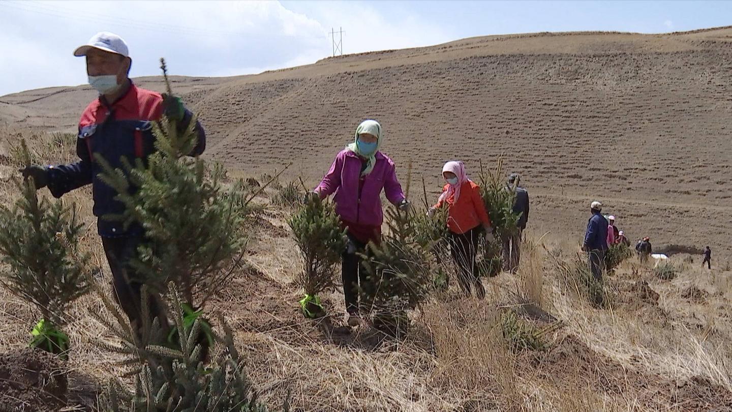 濟南南部山區(qū)最新規(guī)劃,濟南南部山區(qū)最新規(guī)劃,探尋隱藏小巷中的獨特風(fēng)情