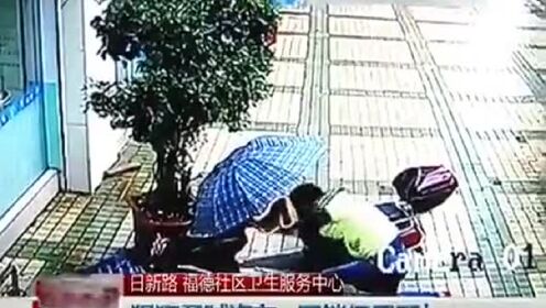 狠狠偷最新版,現象解讀與觀點闡述