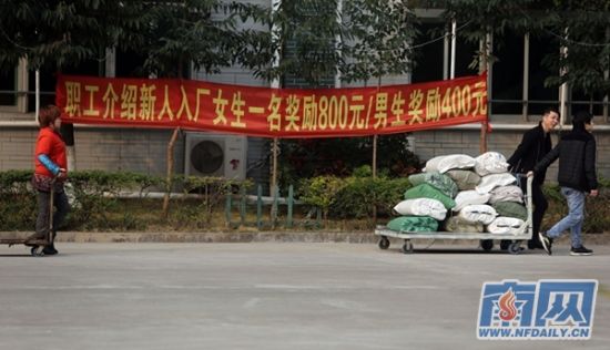 東莞普工最新招聘啟航新征程,自信與成就感的職業(yè)探索之旅