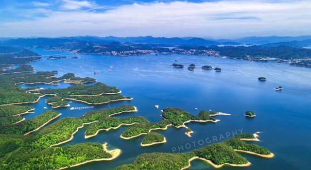 千島湖最新招聘,多元視角下的深度探討