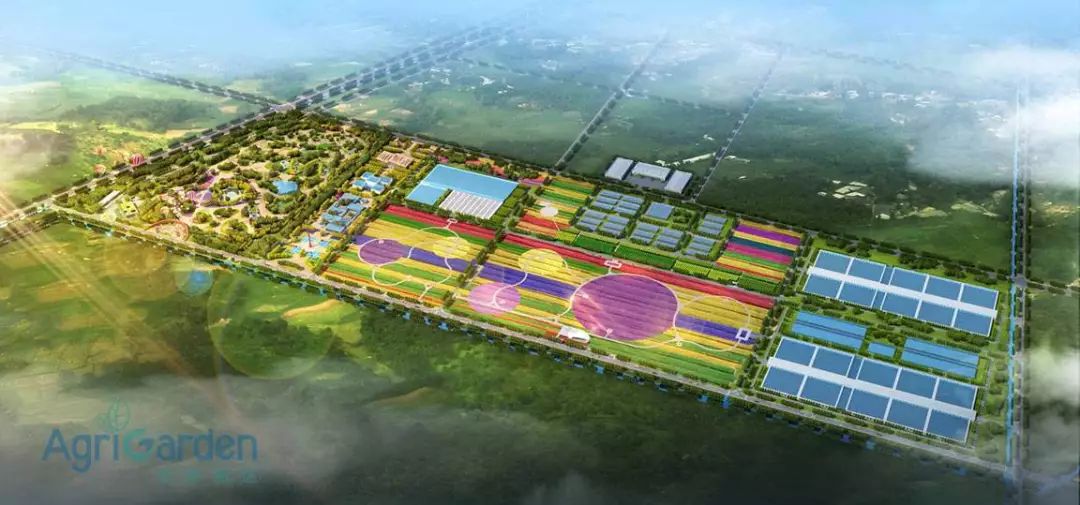 東營廣北農(nóng)場最新動態(tài)更新,農(nóng)場最新消息匯總????