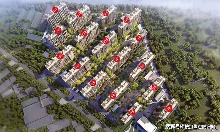 高唐東大集資最新消息詳解,步驟指南與動態更新