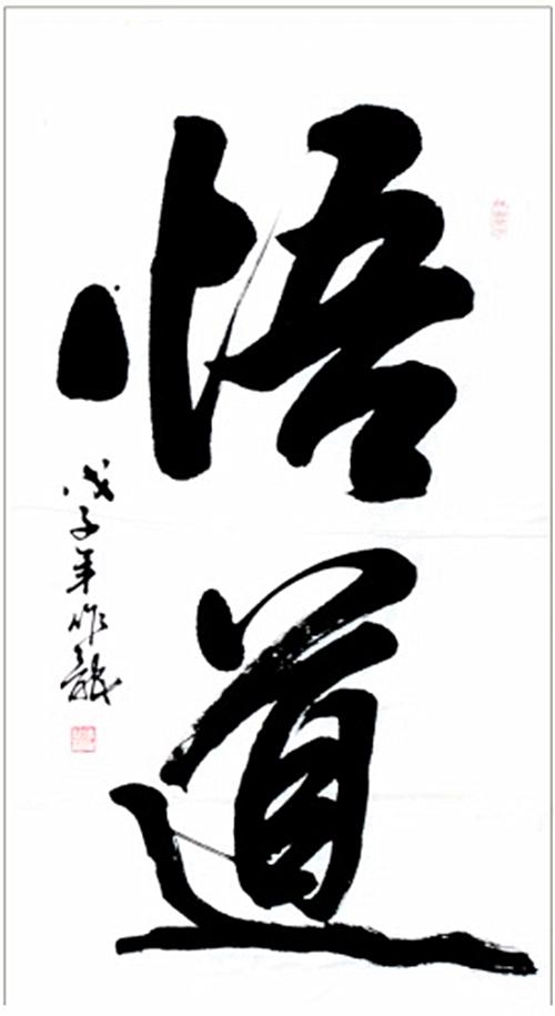 深中華A股票最新動態,自然美景探索之旅,心靈遠離塵囂的啟程