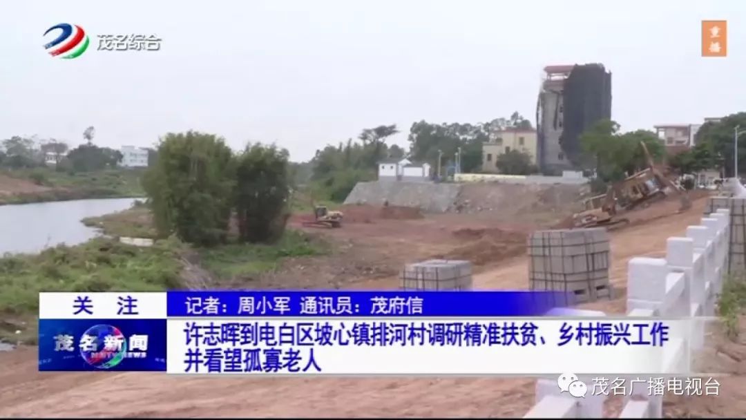 電白區坡心鎮最新新聞,自然之旅開啟新篇章,尋求內心平和與寧靜的旅程