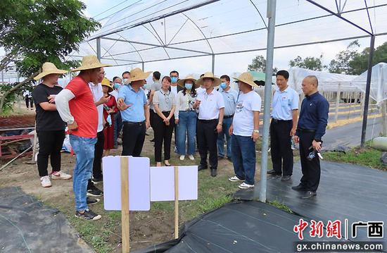 電白區坡心鎮最新新聞,自然之旅開啟新篇章,尋求內心平和與寧靜的旅程