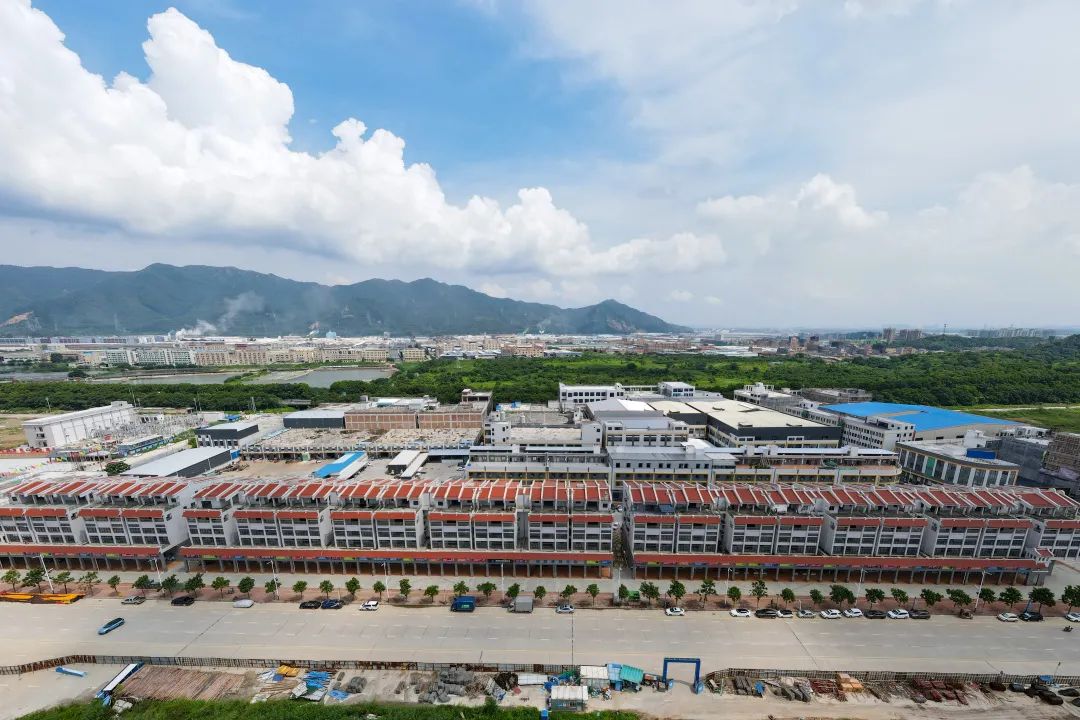 高要區金利鎮最新新聞聚焦,小巷深處的獨特風味