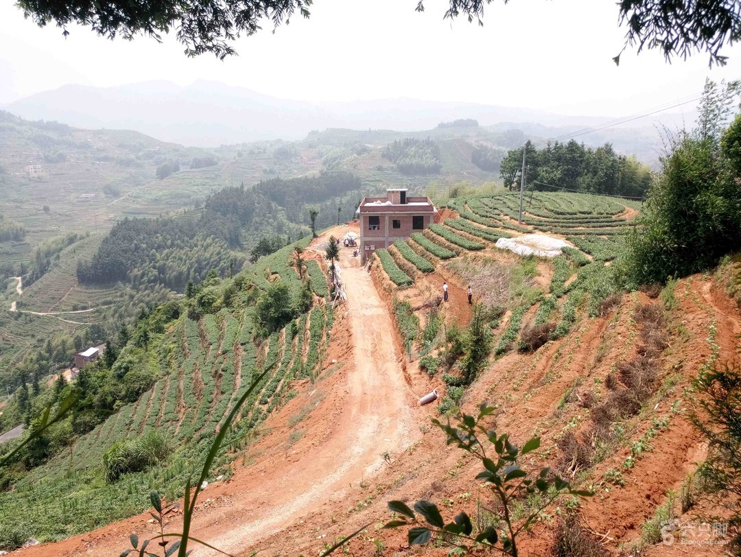 安溪湖上鄉最新消息,安溪湖上鄉最新消息,小巷深處的獨特風味