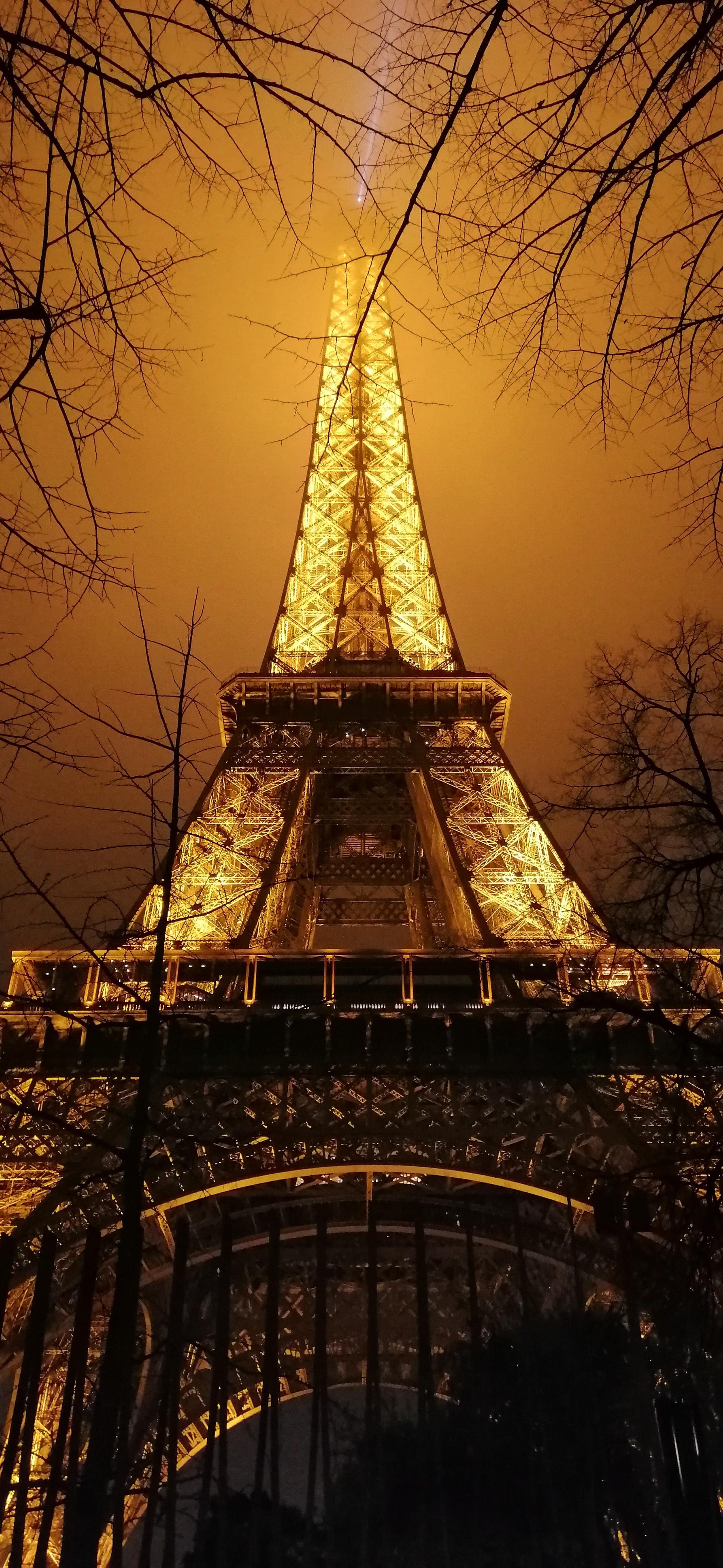 南沙塞納河畔,自然美景探索之旅,尋找內心寧靜的啟程