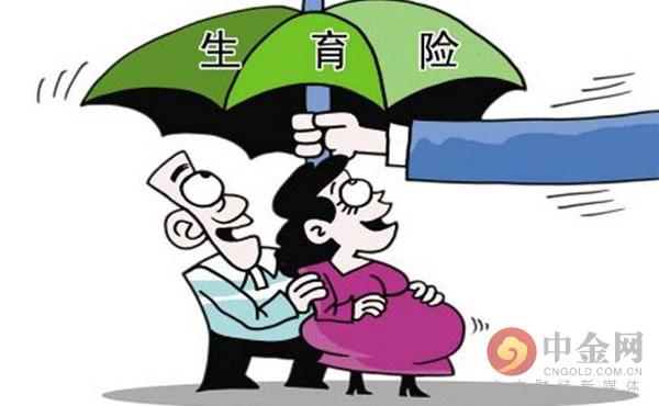 今年汽車保險最新政策解讀與概述