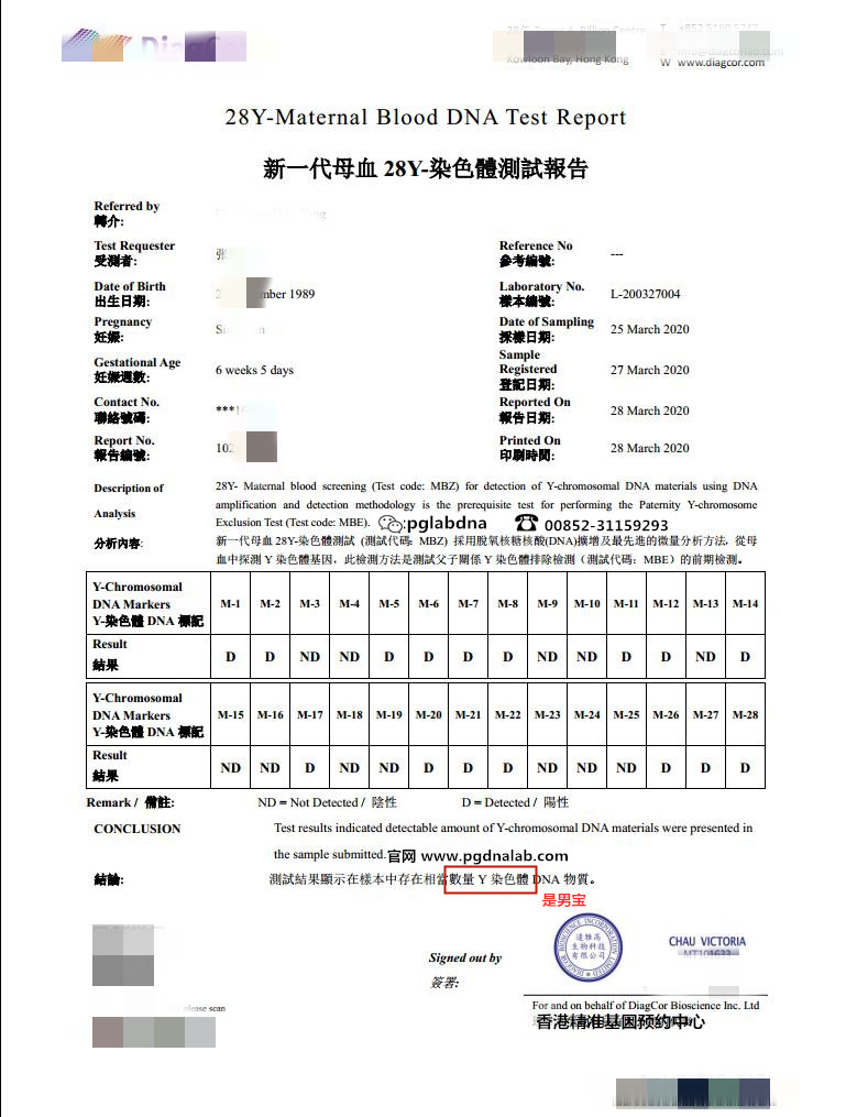達雅高最新報告單圖片解讀與要點分析,專業分析與解讀的指南