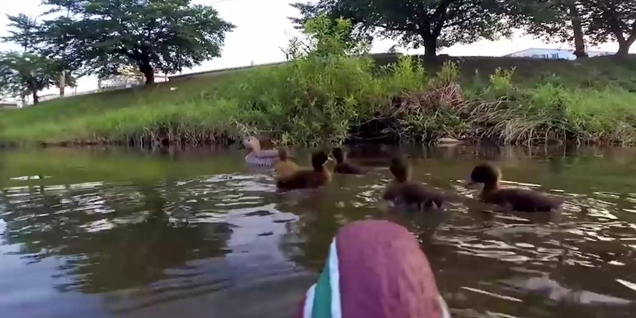 老鴨窩外國(guó)最新地址大揭秘,探索最新動(dòng)態(tài)與秘密!