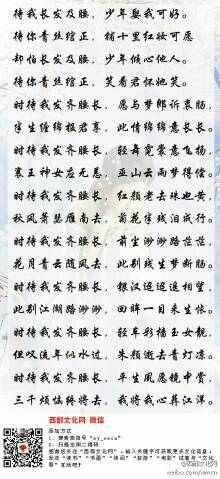 沈臥折薇最新章節(jié)816,故事進(jìn)展與深度解讀揭秘