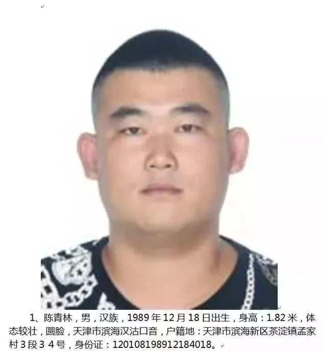 天津最新通緝令發布,街頭追捕與意外趣事揭秘