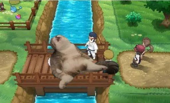 喵星人大戰(zhàn)最新破解版,星際戰(zhàn)爭的無限可能挑戰(zhàn)