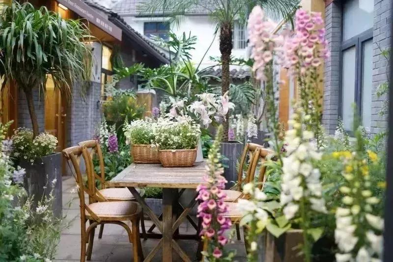 夢幻花園最新版本破解,一段溫馨有趣的日常故事之旅