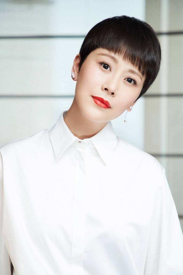 海清2025年最新電視劇,自然之旅的心靈覺醒