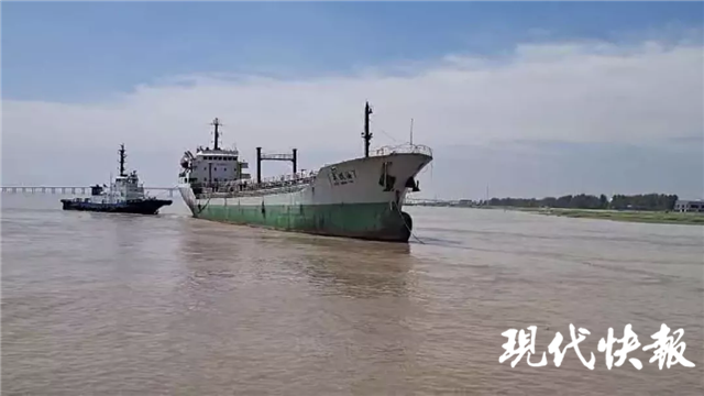 東莞豐海海運最新動態更新??