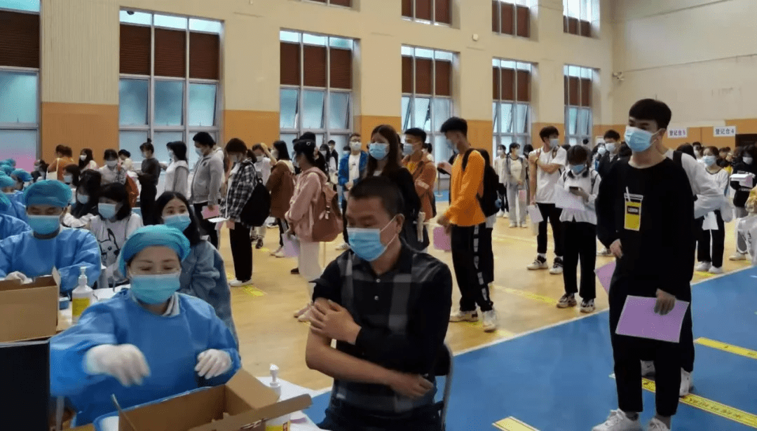 定州水墨林居最新動態,自然美景的探索之旅,尋求內心平和與寧靜