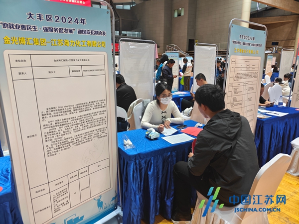 大豐人才市場最新招聘信息深度解析與個(gè)人應(yīng)對(duì)之策