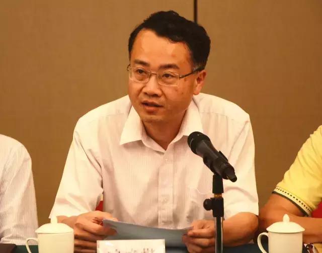 福建省最新副廳級干部概覽,領導層的新力量