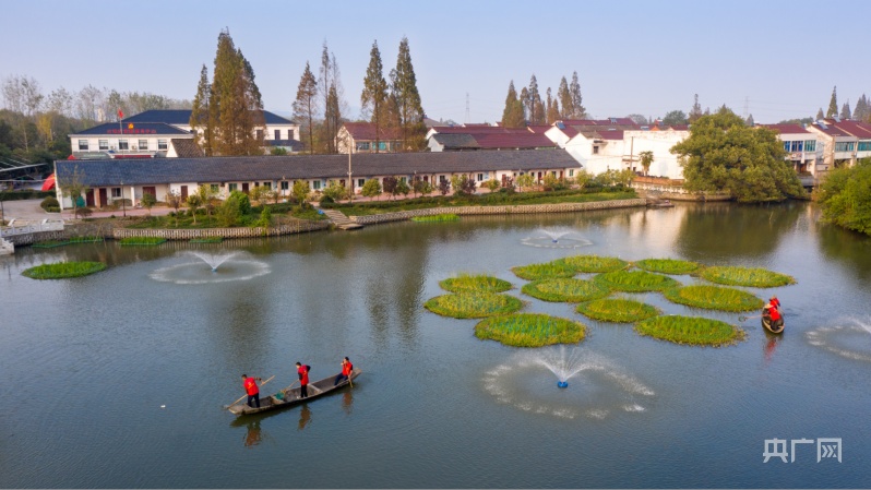 湖州市菱湖鎮最新新聞論述概覽