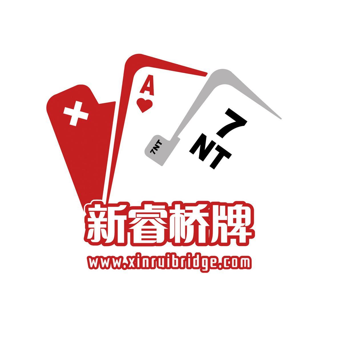 新睿橋牌最新版本,變化中的學習之路,自信與成就感的源泉