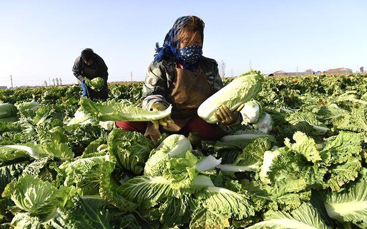 河北玉田最新樓房價格,河北玉田最新樓房價格指南