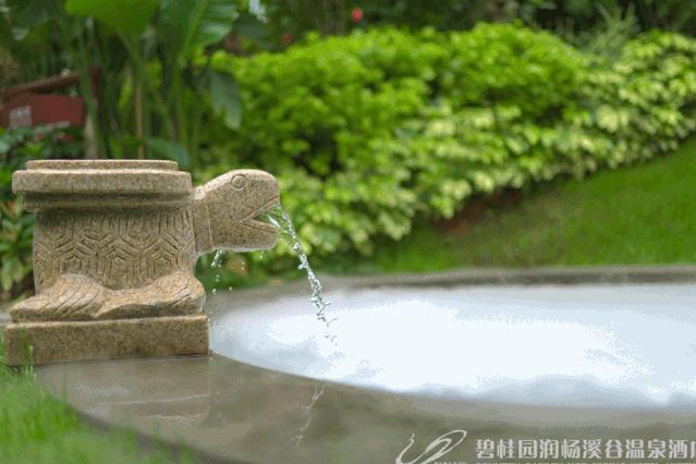 天壕環(huán)境股票最新動態(tài),科技前沿引領(lǐng)綠色未來