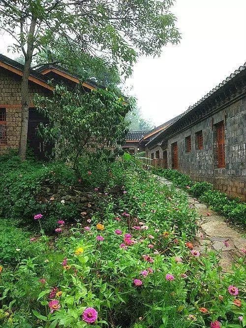 湖北省大悟縣最新動態更新摘要