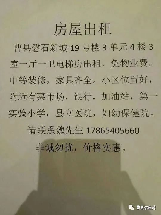 新縣房租出租動態,變化中的學習成就自信與歸屬感之源